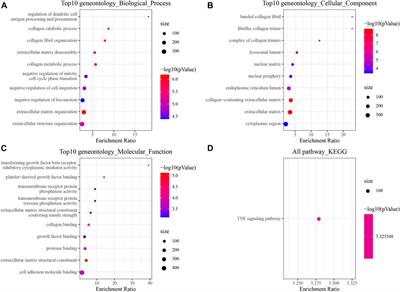 An effective prognostic model for assessing prognosis of non-small cell lung cancer with brain metastases